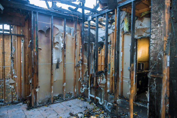 Professional Structural Rebuild technician working in Wolfforth, TX